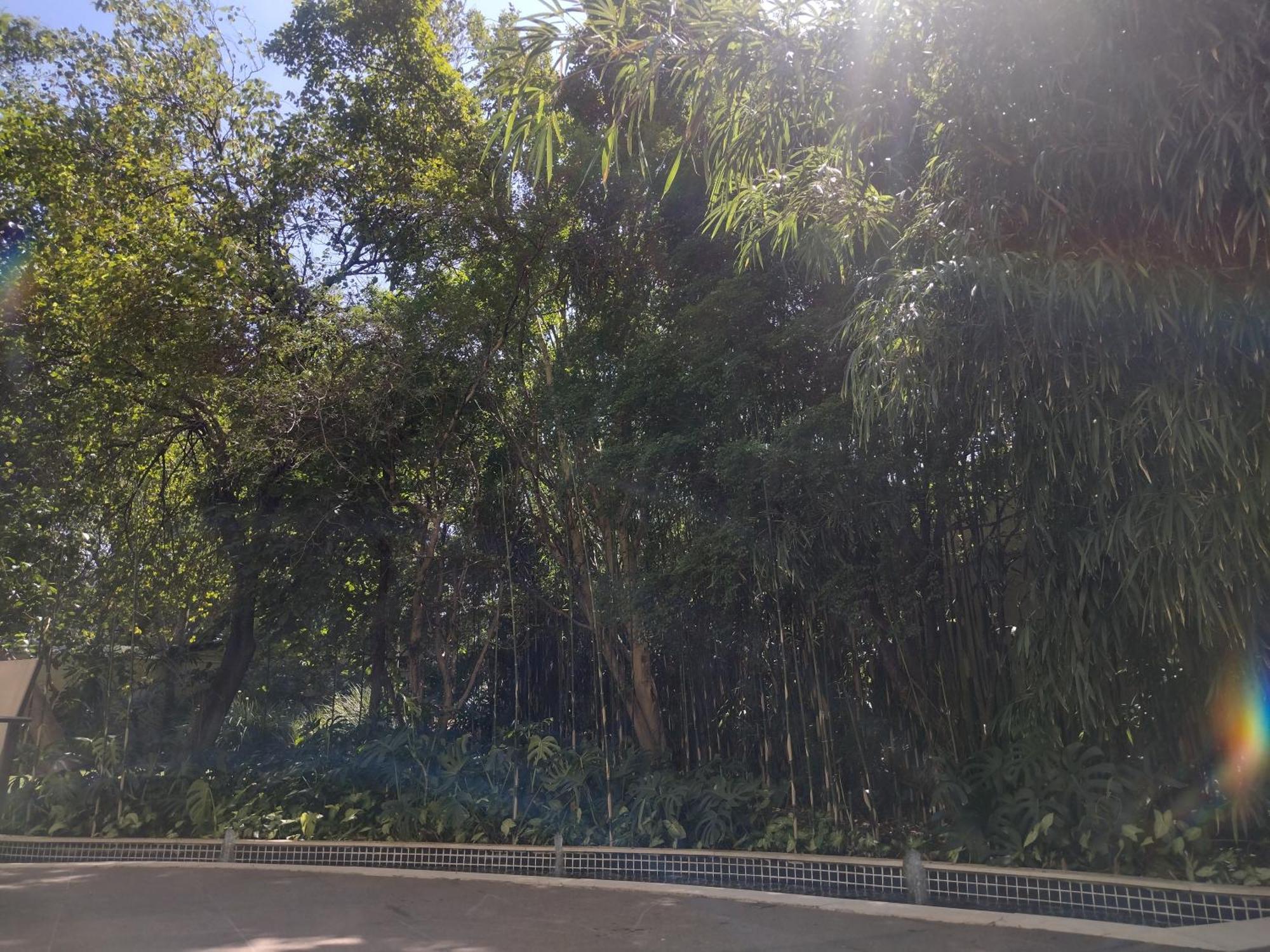 Hotel Granestanconfor Veranda Berrini Σάο Πάολο Εξωτερικό φωτογραφία